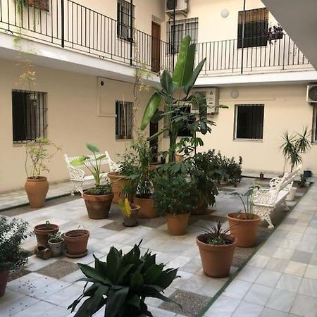 Sevilla San Bernardo Apartamento Bagian luar foto