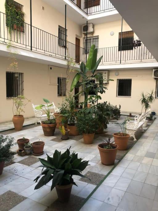 Sevilla San Bernardo Apartamento Bagian luar foto